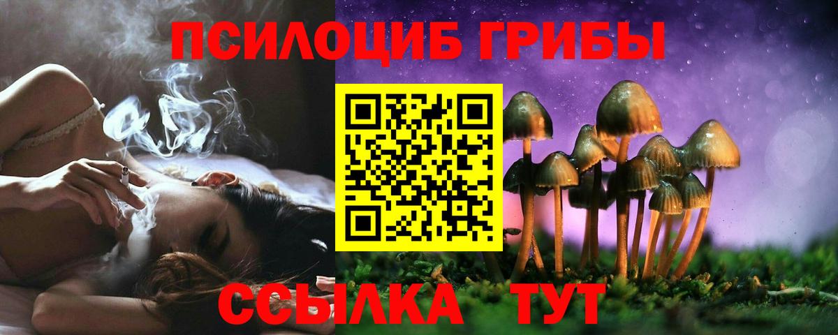 Псилоцибиновые грибы Psilocybine cubensis Вятские Поляны