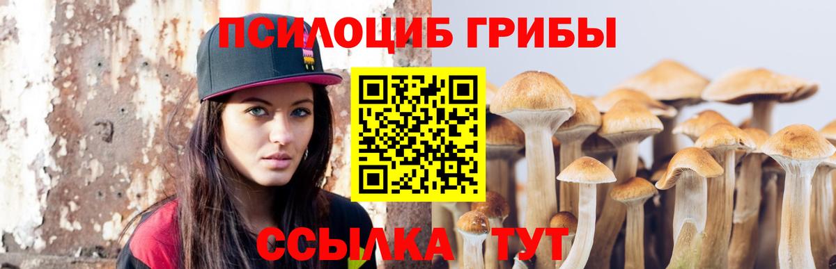 Вятские Поляны  Псилоцибиновые грибы мицелий  Вход с VPN 